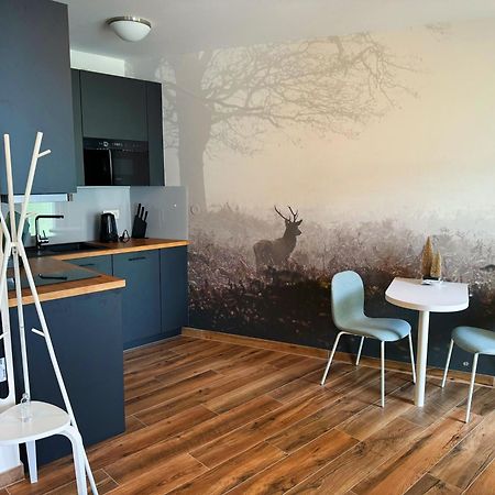 Horsky Apartman Klinovecke Louky 120-4 Loučná pod Klínovcem Kültér fotó